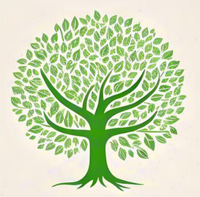 Mga Kapanguhaan sa Everwood